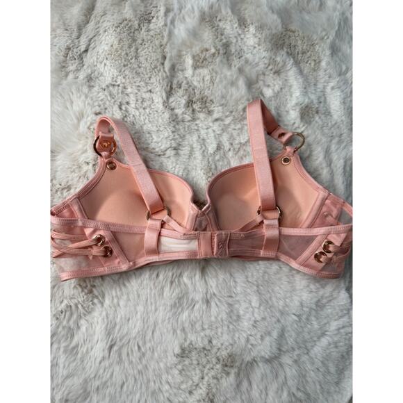 Honey Birdette JERRY🩷 Pink 2 Piece Set 32B Bra & Medium Brief - Picture 4 of 8
